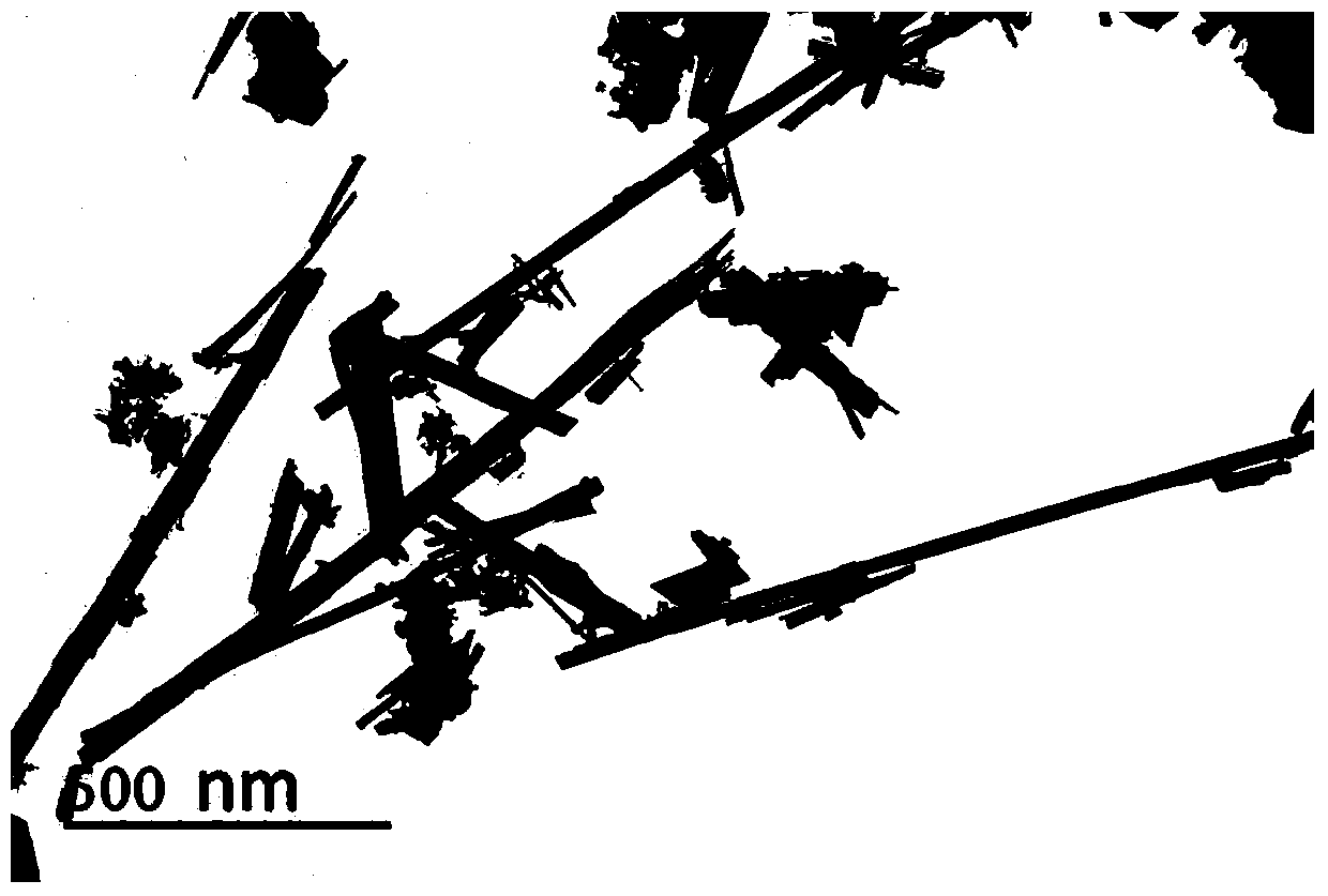 A preparation method of nanowire-like lithium-rich manganese-based positive electrode material