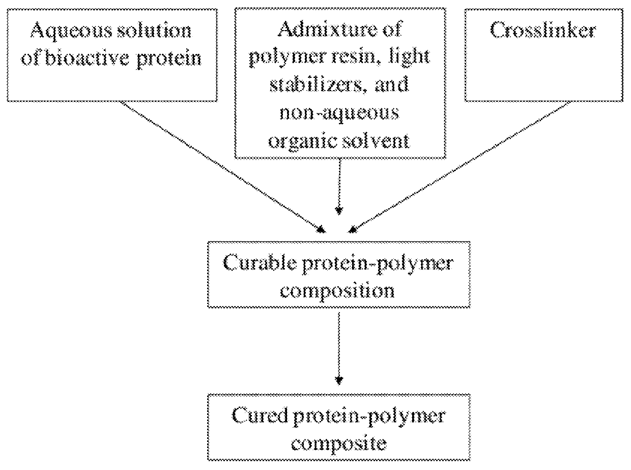 Uv-stabilized protein-polymer compositions