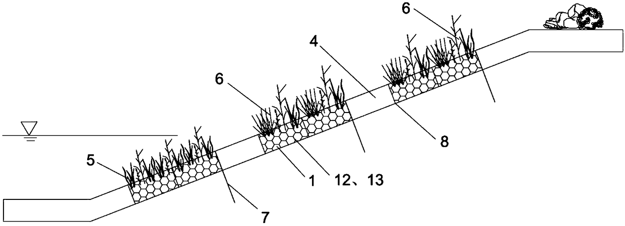 In situ planting type ecologically-transformed hard slope type revetment and transformation method
