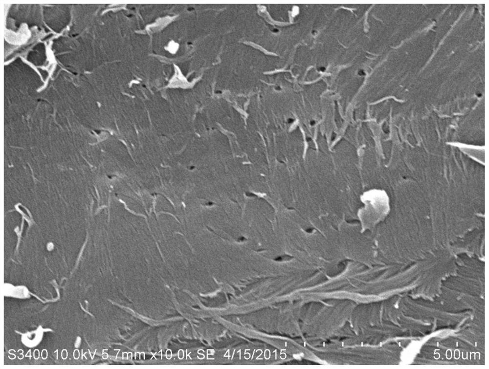 A method for improving the adsorption capacity of powdery chitin to enzyme protein and its application