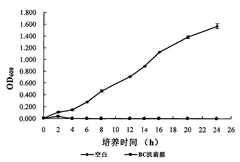 Bacterial cellulose (BC) based antibacterial dry film applied to acute injury as well as preparation method and application thereof