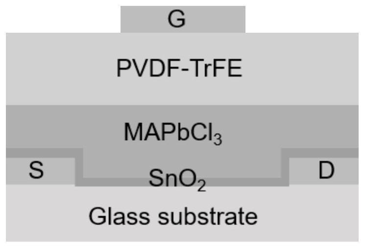 Transparent perovskite thin film transistor