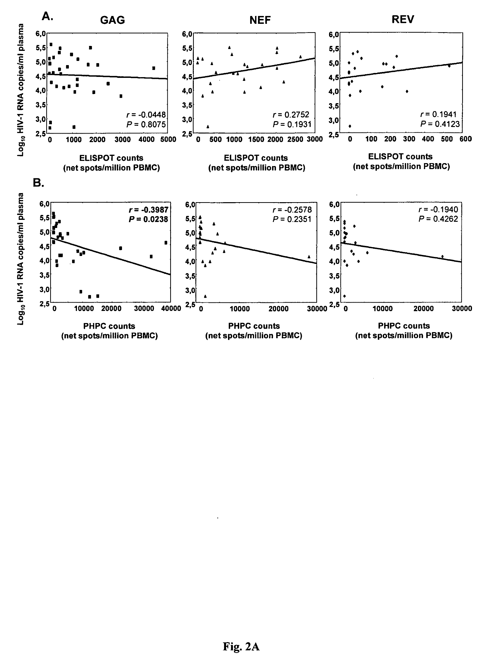 Novel assay for precursor T-cells having high proliferative capacity (PHPC-asay)