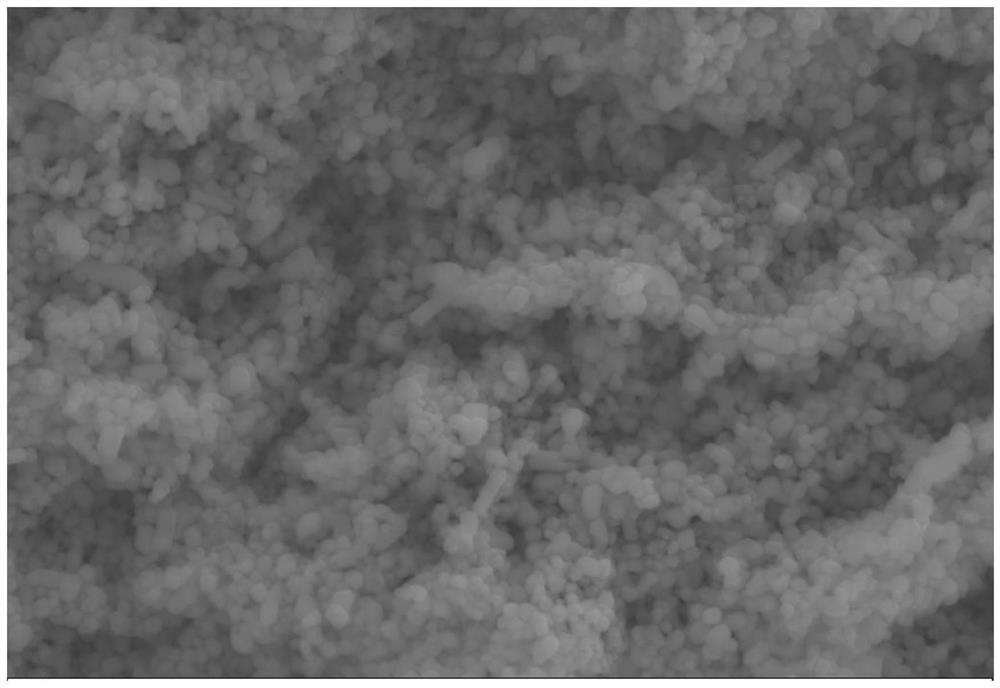 Method for preparing thorium dioxide nano material based on molten salt method and thorium dioxide nano material obtained by method