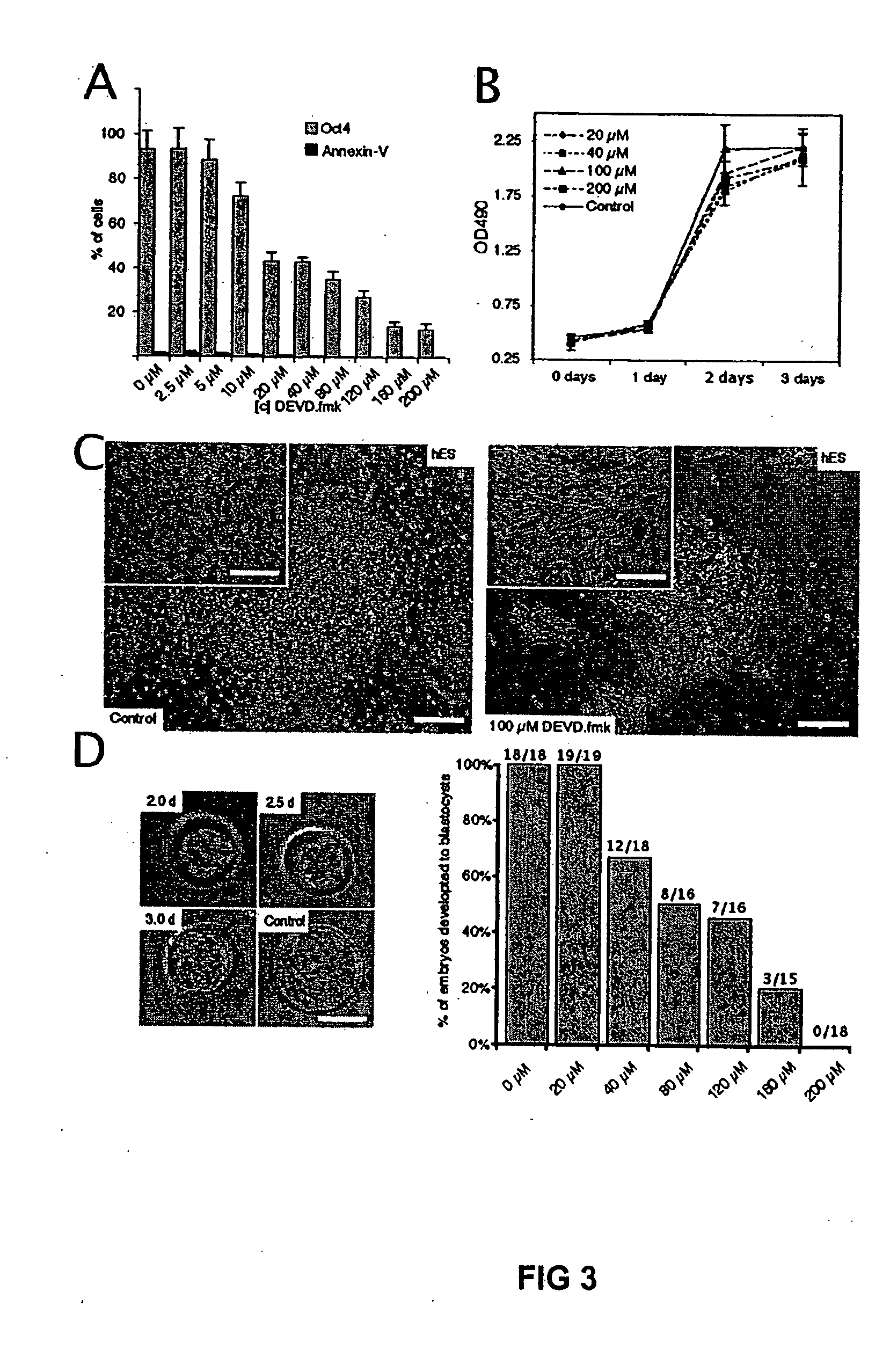 Differentiation of pluripotent embryonic stem cells