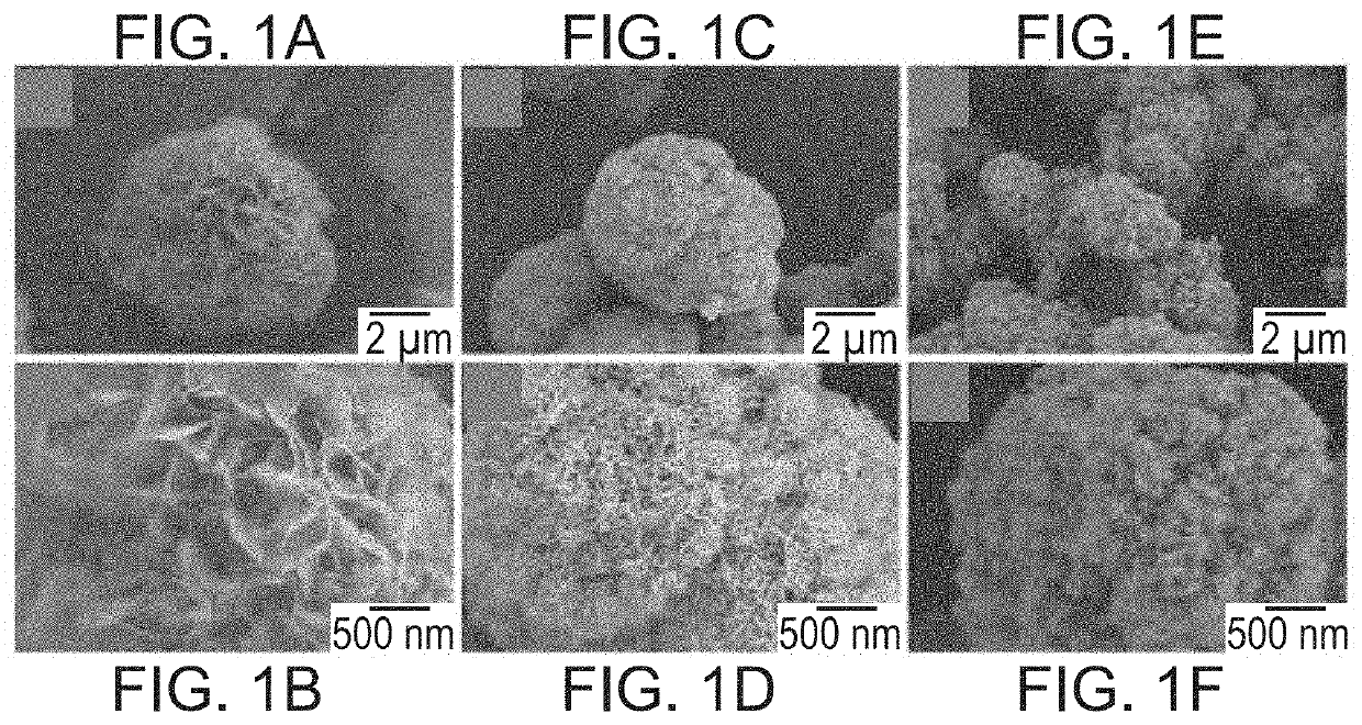 Mineral coated microparticles for sustained delivery of biologically active molecules