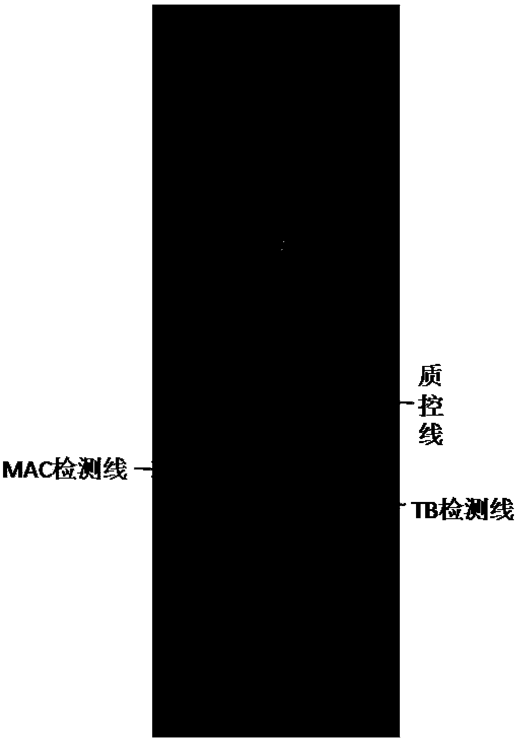 Hybrid membrane strip for mycobacterium tuberculosis complex and avian-extracellular mycobacterium complex and detection kit