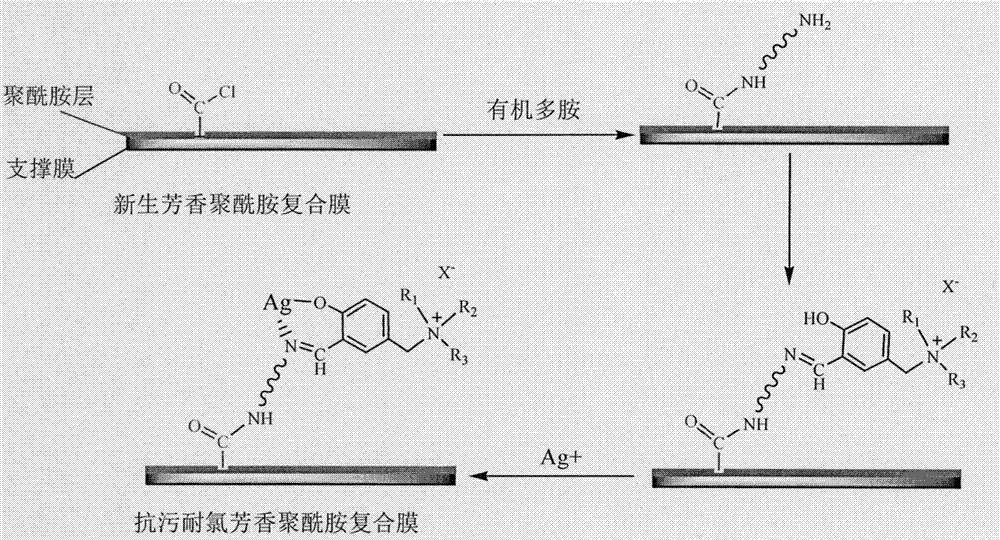 A preparation method of antifouling and chlorine-resistant aromatic polyamide composite film