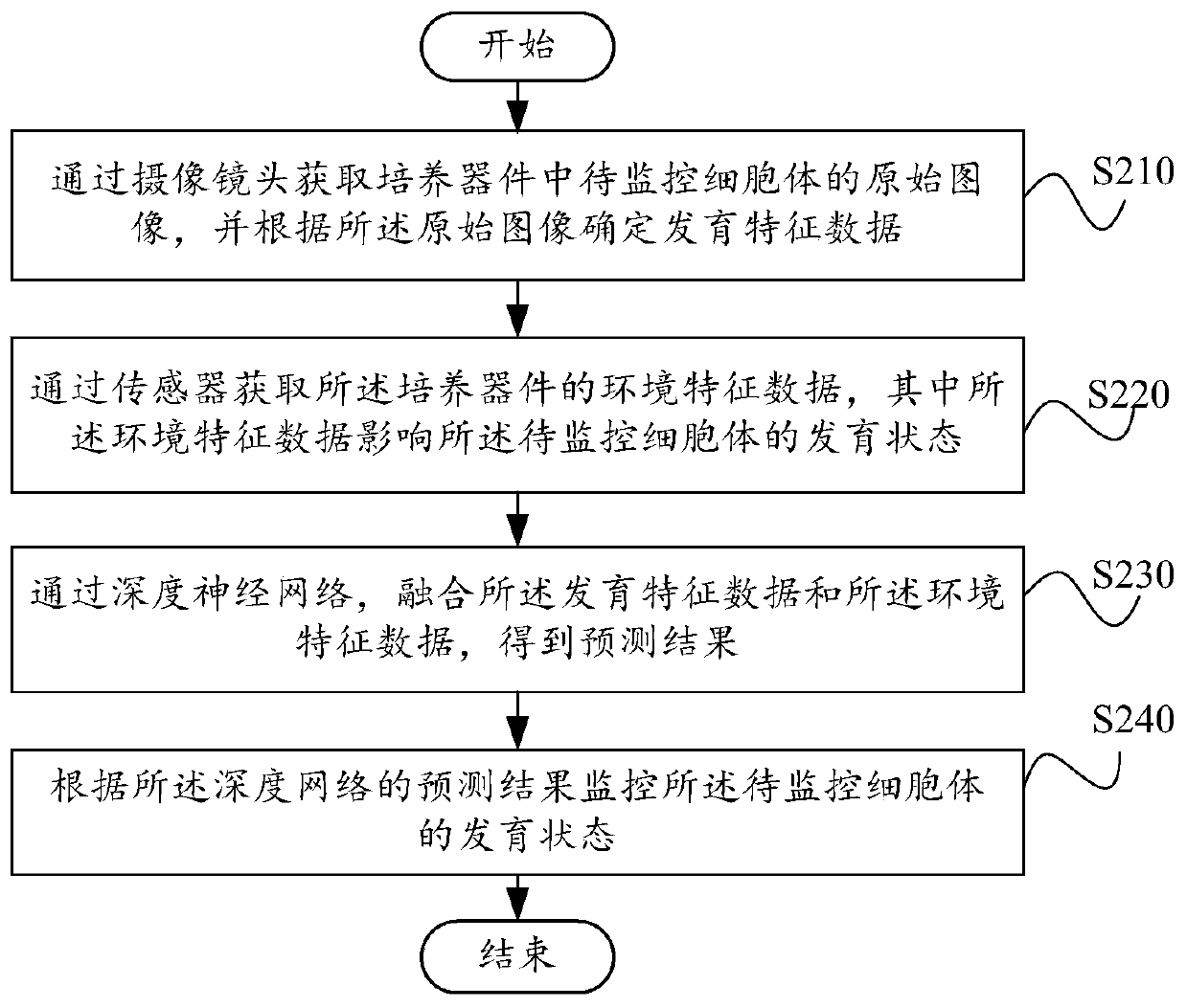 Cell body monitoring method, system and device based on artificial intelligence and electronic equipment