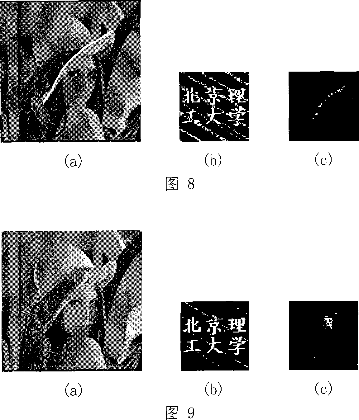 Multi-channel filter group-based multifunction digital watermark method