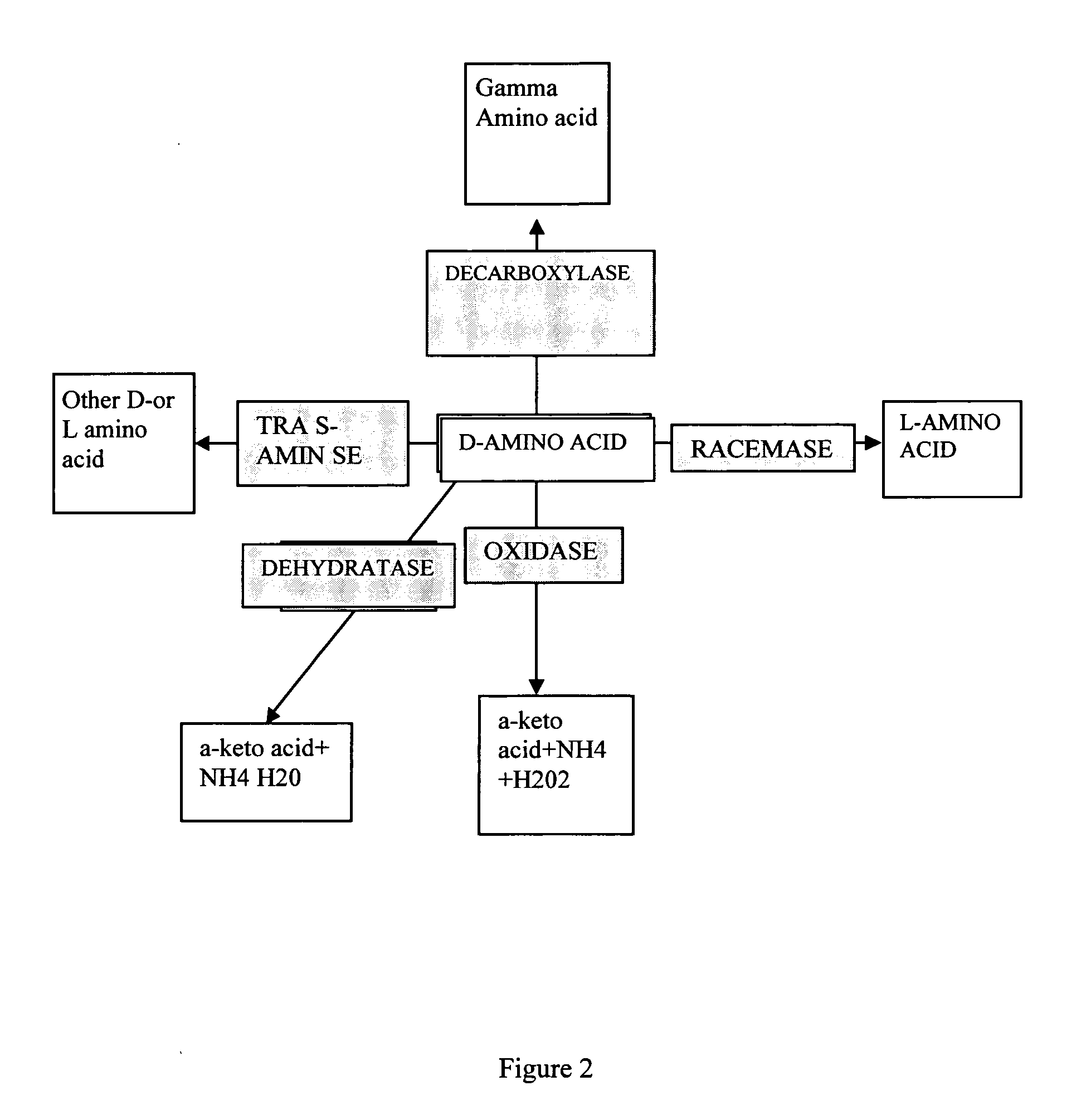 Selective plant growth using D-amino acids