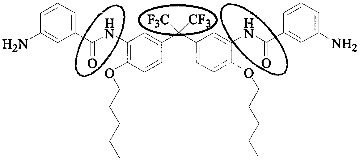 Preparation method of C5 side chain substituted fluorine-containing diamine monomer