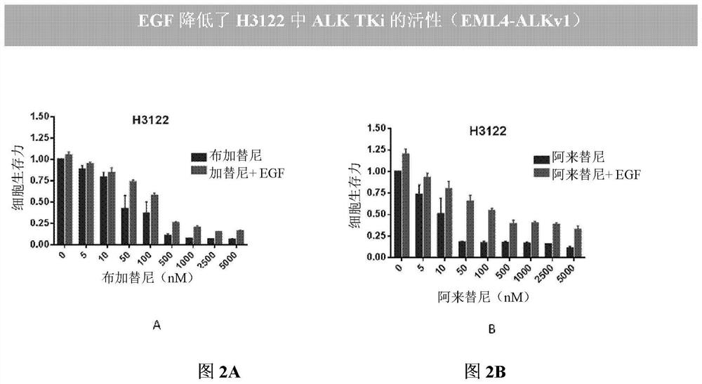 Methods and compositions for inhibition of egf/egfr pathway in cobination with anaplastic lymphoma kinase inhibitors