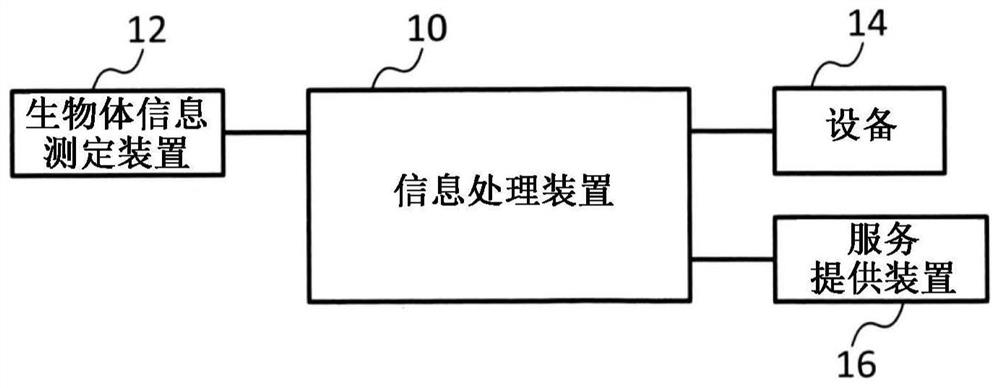 Information processing apparatus and computer readable medium