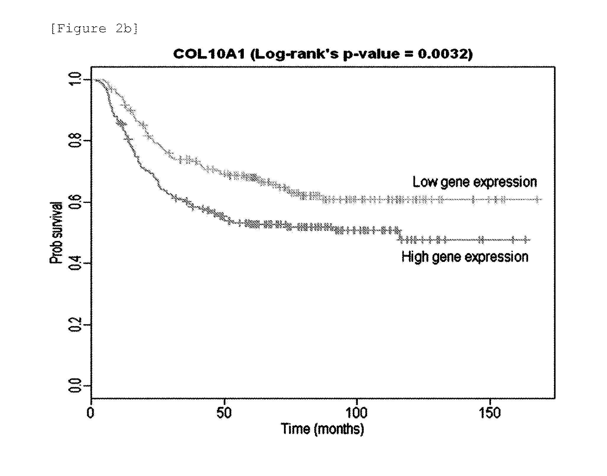 Marker for predicting gastric cancer prognosis and method for predicting gastric cancer prognosis using the same