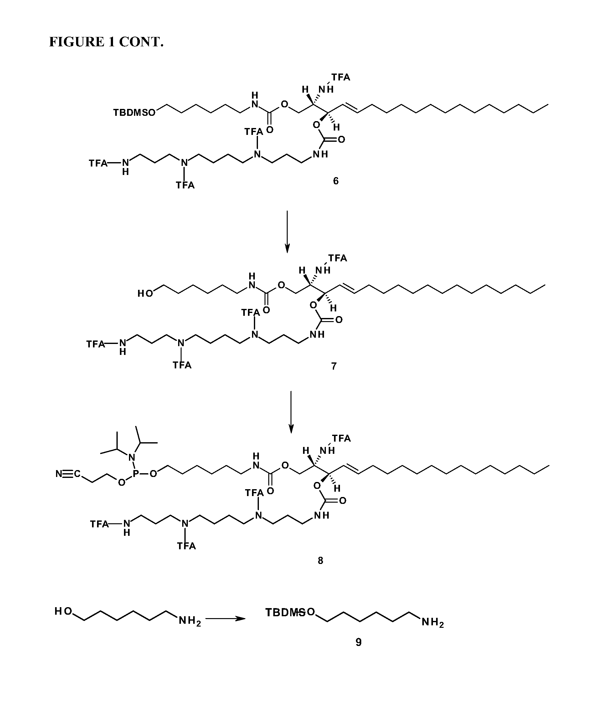 Sphingolipid-polyalkylamine-oligonucleotide compounds