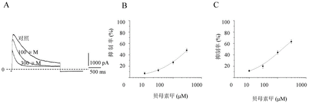 Application of peimine in preparation of novel immunosuppressive agent