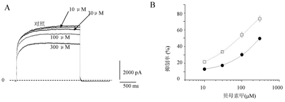 Application of peimine in preparation of novel immunosuppressive agent