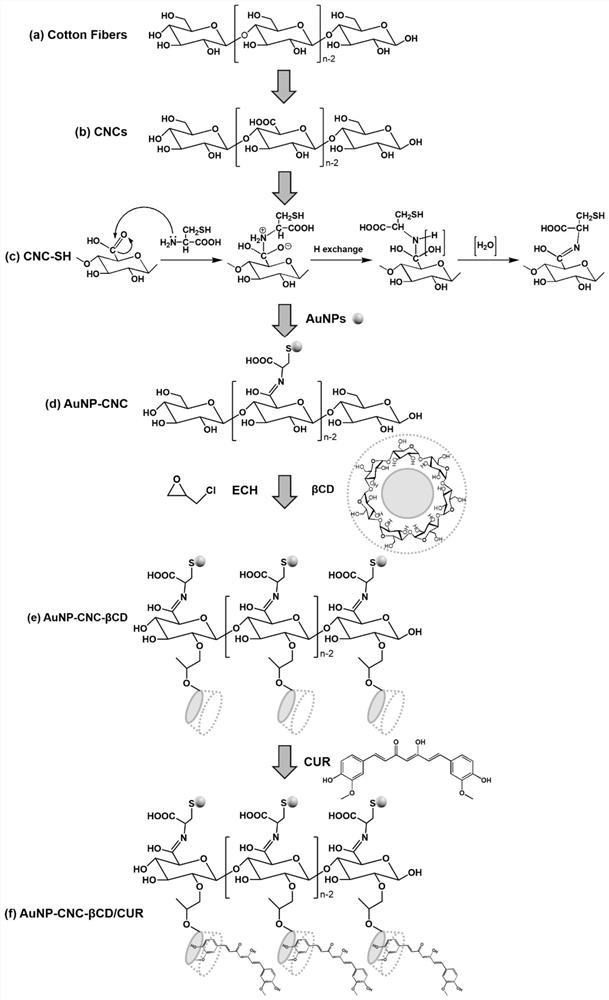 Double-curative-effect antitumor drug based on nano-cellulose loading and preparation method of double-curative-effect antitumor drug