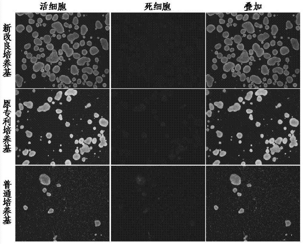 Improved culture medium for neonatal pig islet cells and use method of same