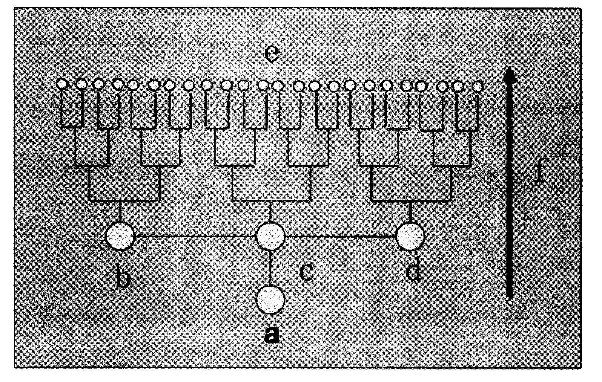 Micro-fluid self-driven micro-fluidic chip with temperature response and preparation method thereof