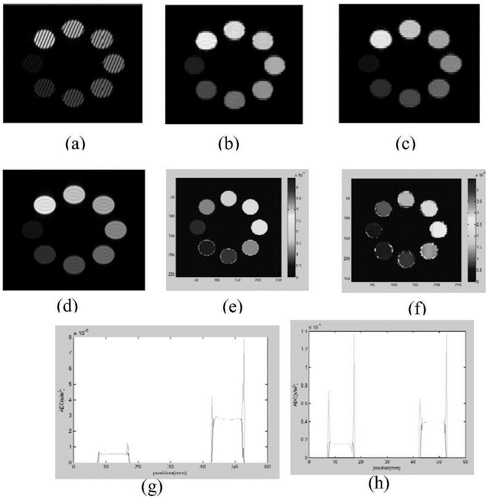 Single-scanning quantitative magnetic resonance diffusion imaging method based on dual echoes