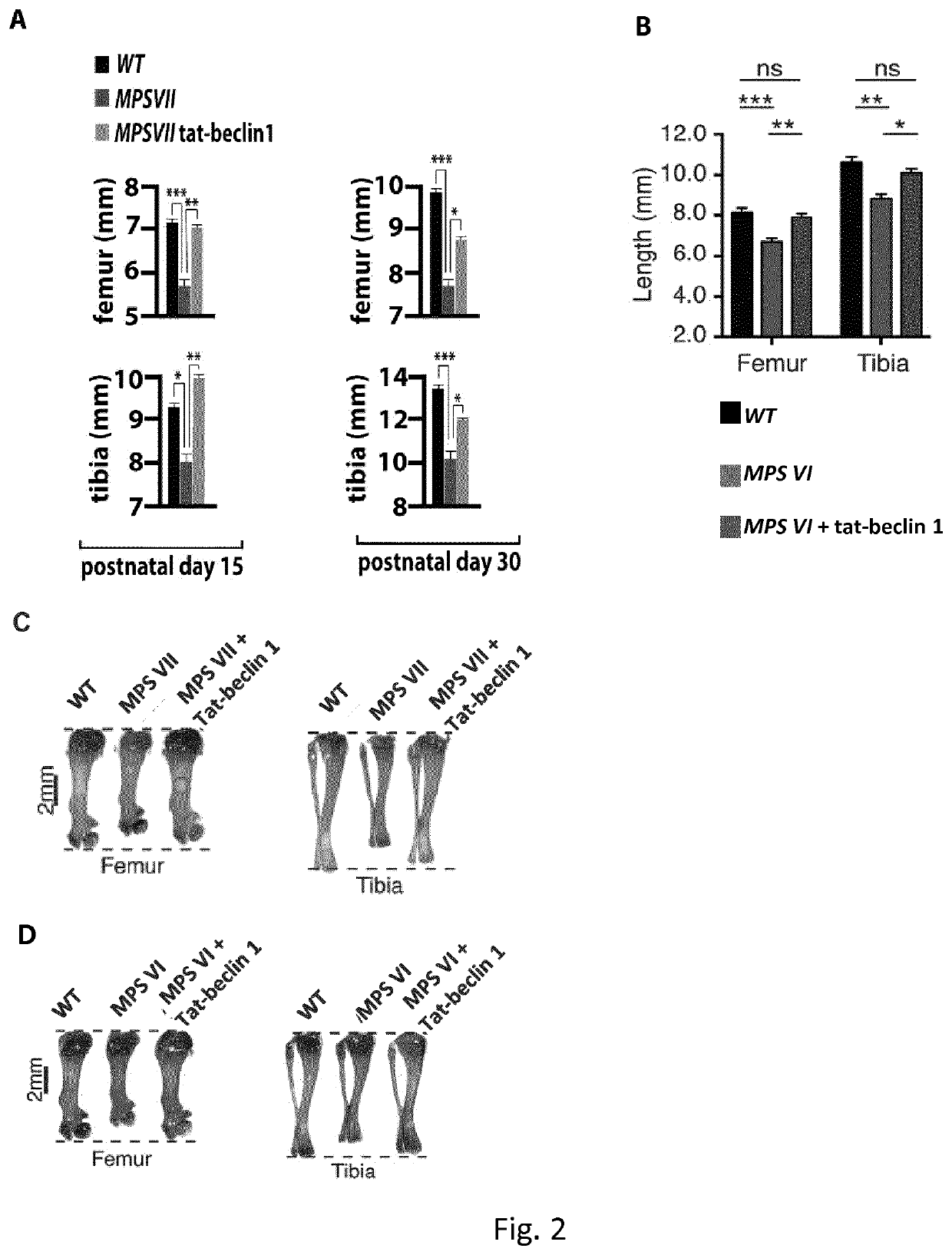 Treatment of bone growth disorders