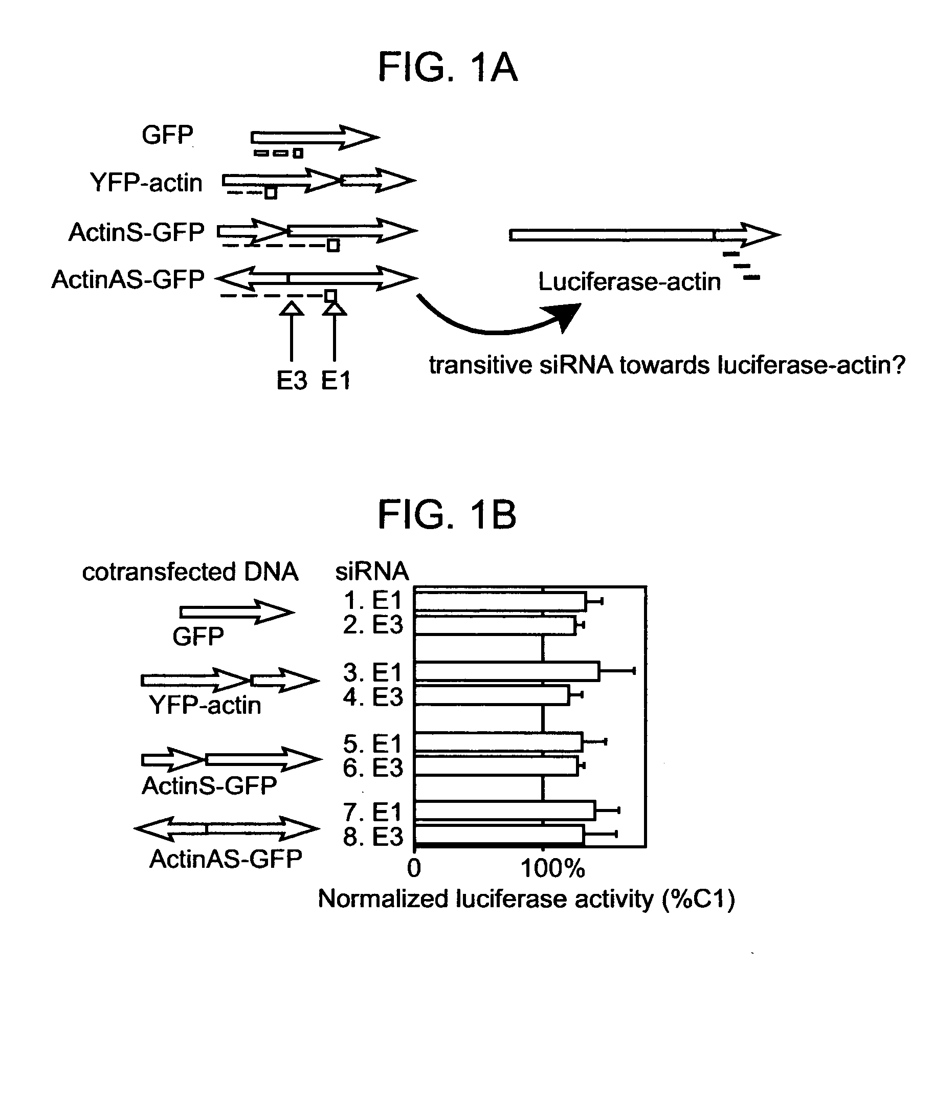Methods and compositions for selective RNAi mediated inhibition of gene expression in mammal cells