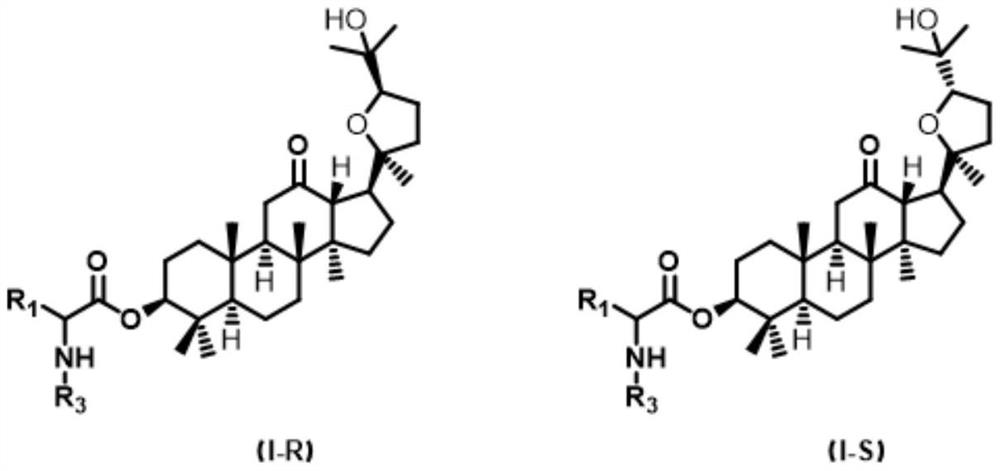 Ocotillol type esterified derivatives, preparation method thereof and application of Ocotillol type esterified derivatives in preparation of anti-inflammatory drugs