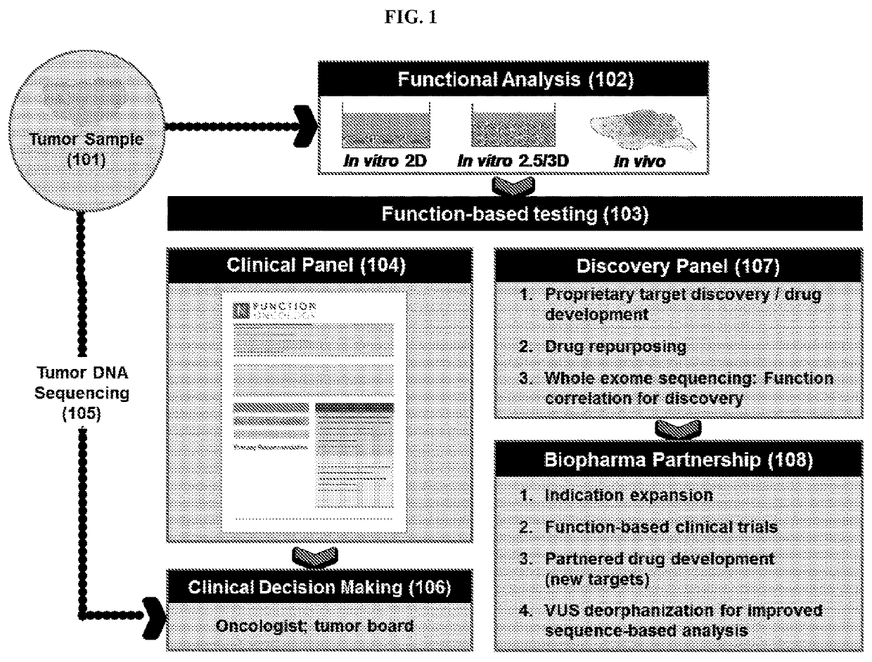 A genetic pharmacopeia for comprehensive functional profiling of human cancers
