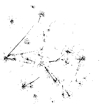 Semantic-enhanced large-scale multi-element graph simplified visualization method