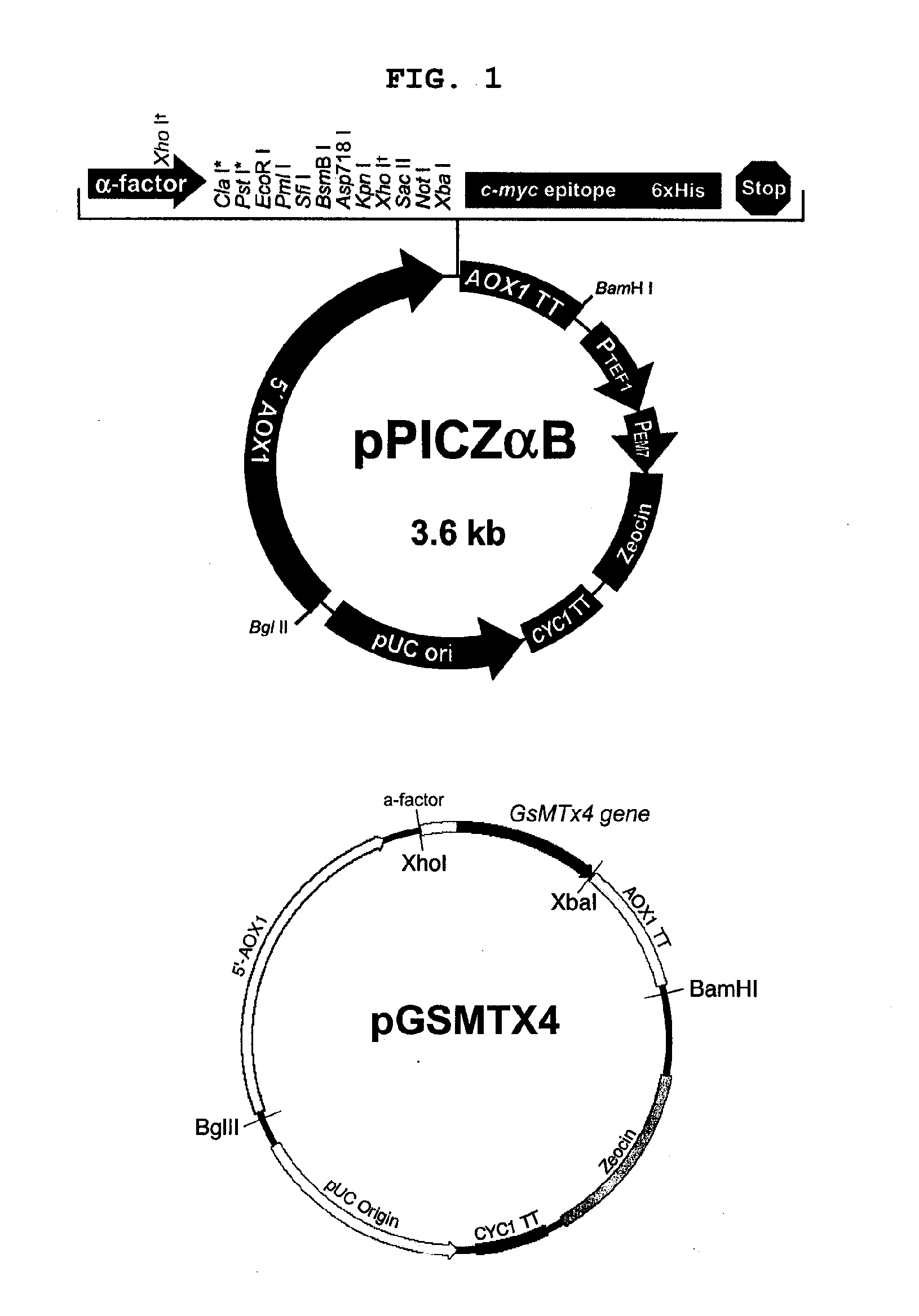 Method For Preparing Recombinant Peptide From Spider Venom and Analgesic Composition Containing The Peptide