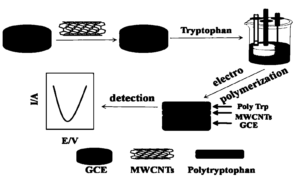L-glutamic acid detection method and sensor based on polymer film modified electrode
