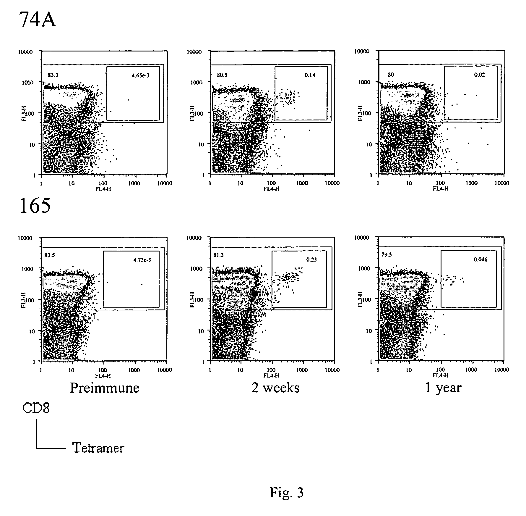 Identification of gene sequences and proteins involved in vaccinia virus dominant T cell epitopes