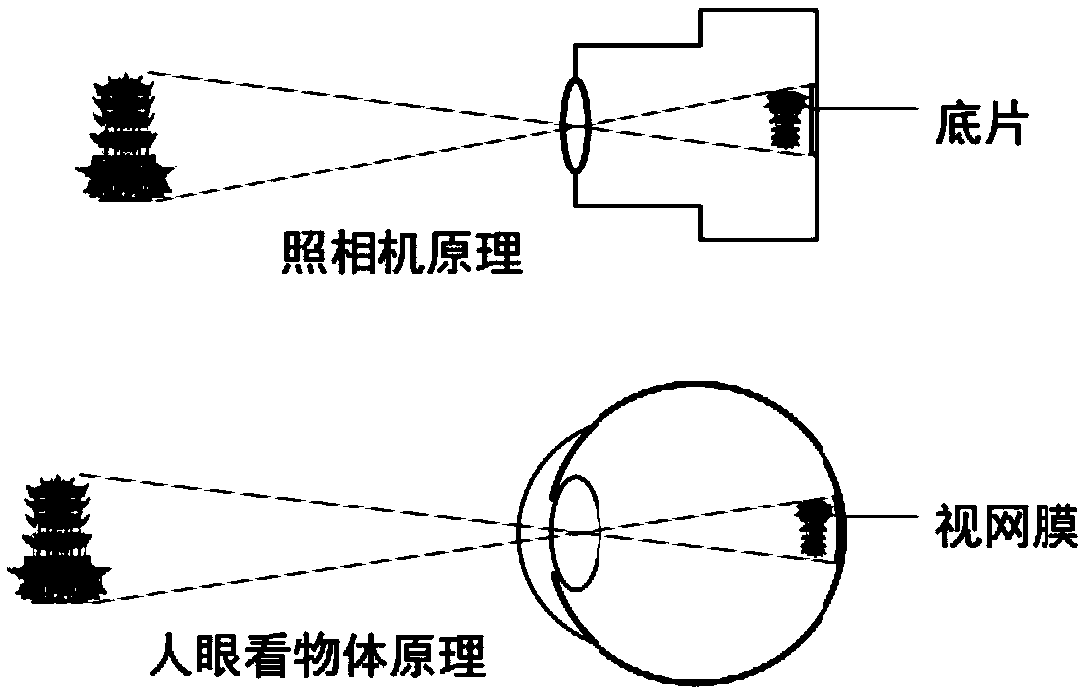 Pupil detection method and device