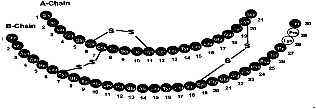 Insulin immunogen, preparation method thereof, insulin antibody, and kit