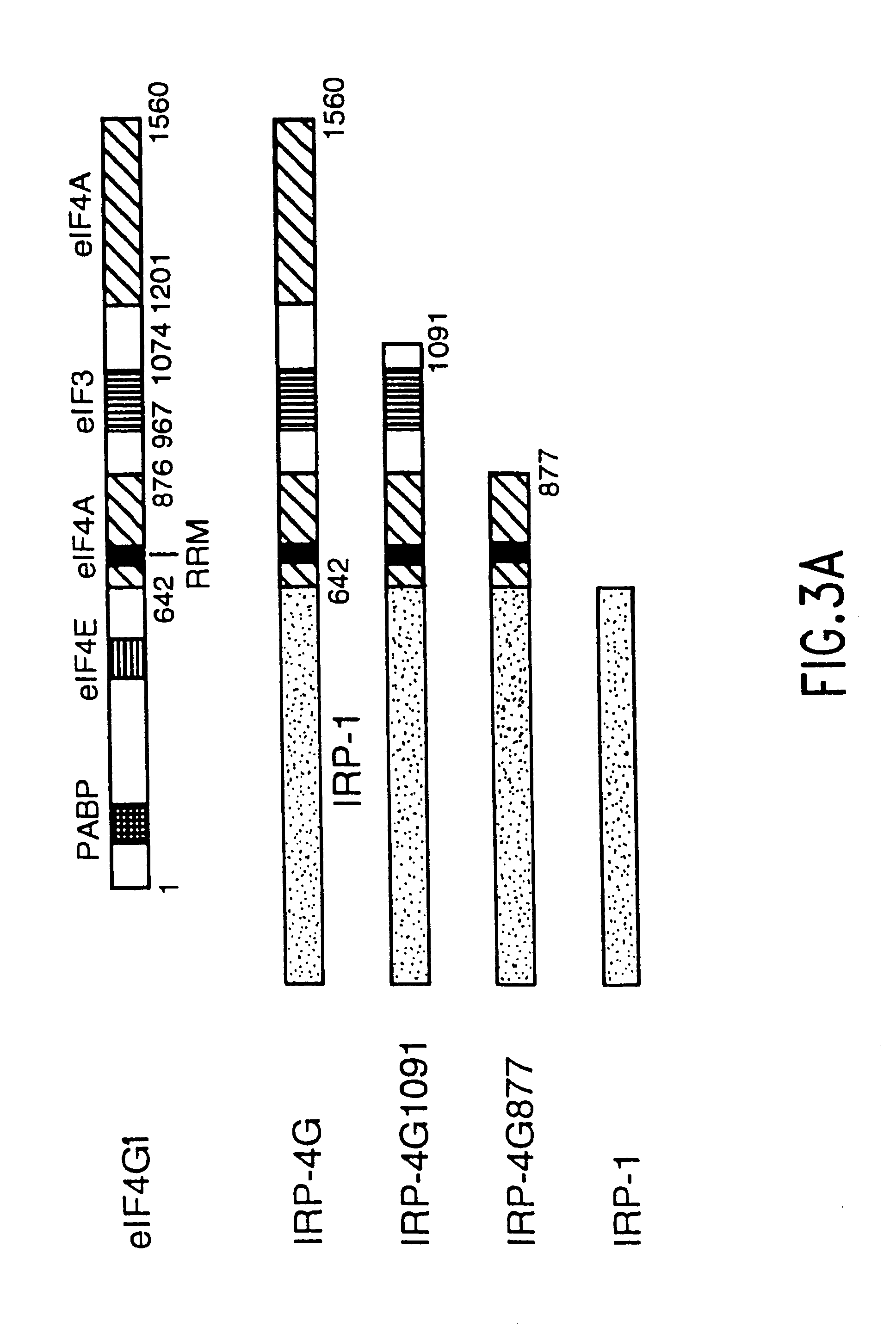 Translation driver system and methods for use thereof
