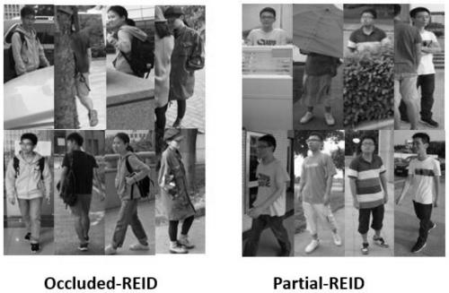 A re-identification method for occluded pedestrians based on centralized learning and deep network learning