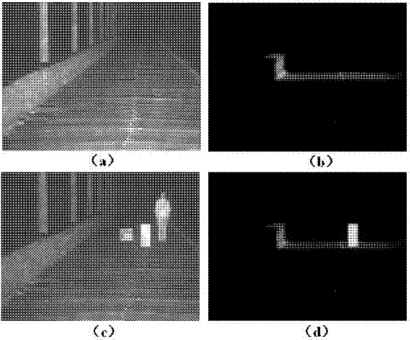 Photon fence system for perimeter security monitoring at night