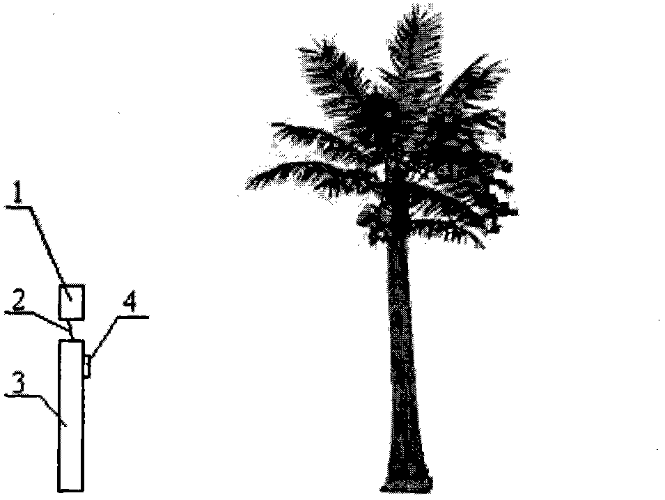 Standing-tree diameter measuring device based on laser ranging and image technologies