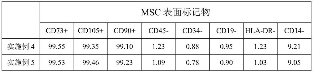 Mesenchymal stem cell in-vitro culture kit and application thereof