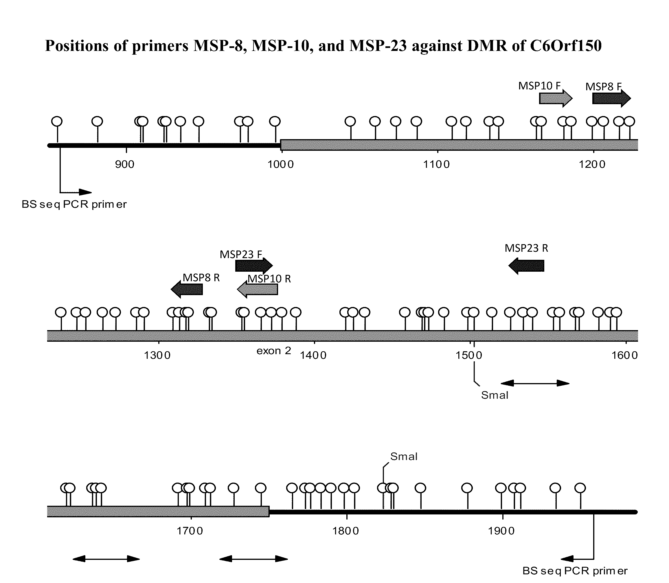 ABERRANT METHYLATION OF C6Orf150 DNA SEQUENCES IN HUMAN COLORECTAL CANCER