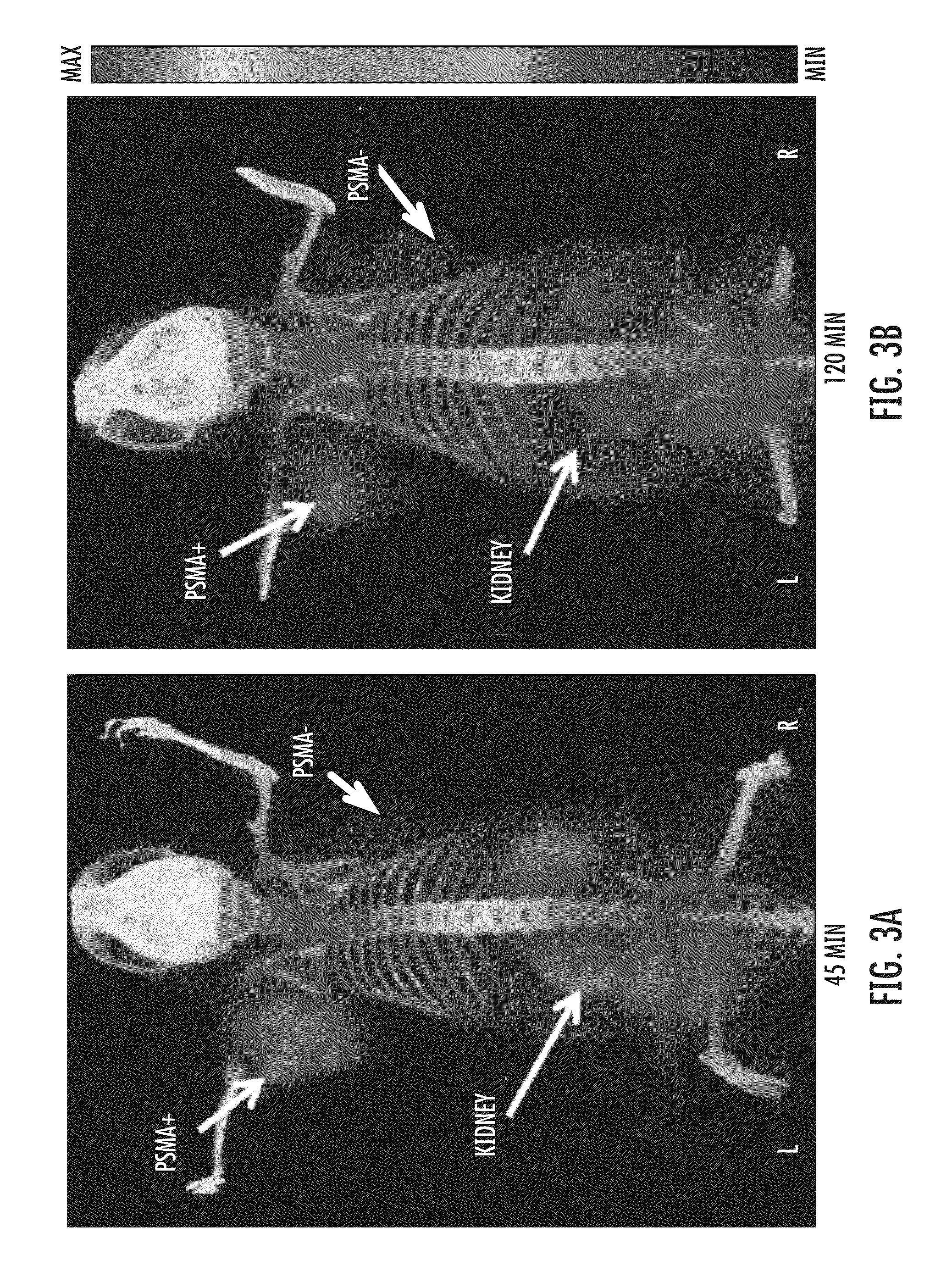 Psma-targeting compounds and uses thereof