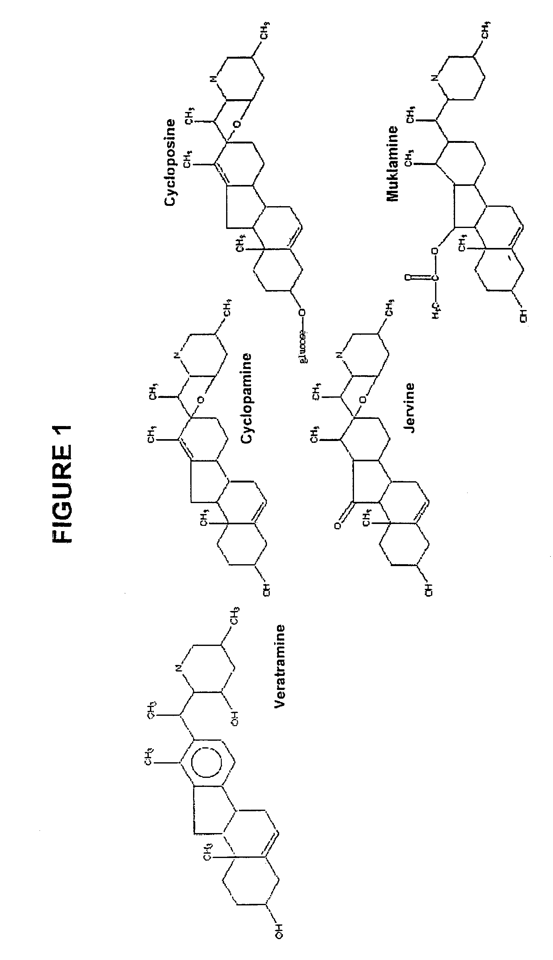 Use of compounds that interfere with the hedgehog signaling pathway for the manufacture of a medicament for preventing, inhibiting, and/or reversing ocular diseases related with ocular neovascularization