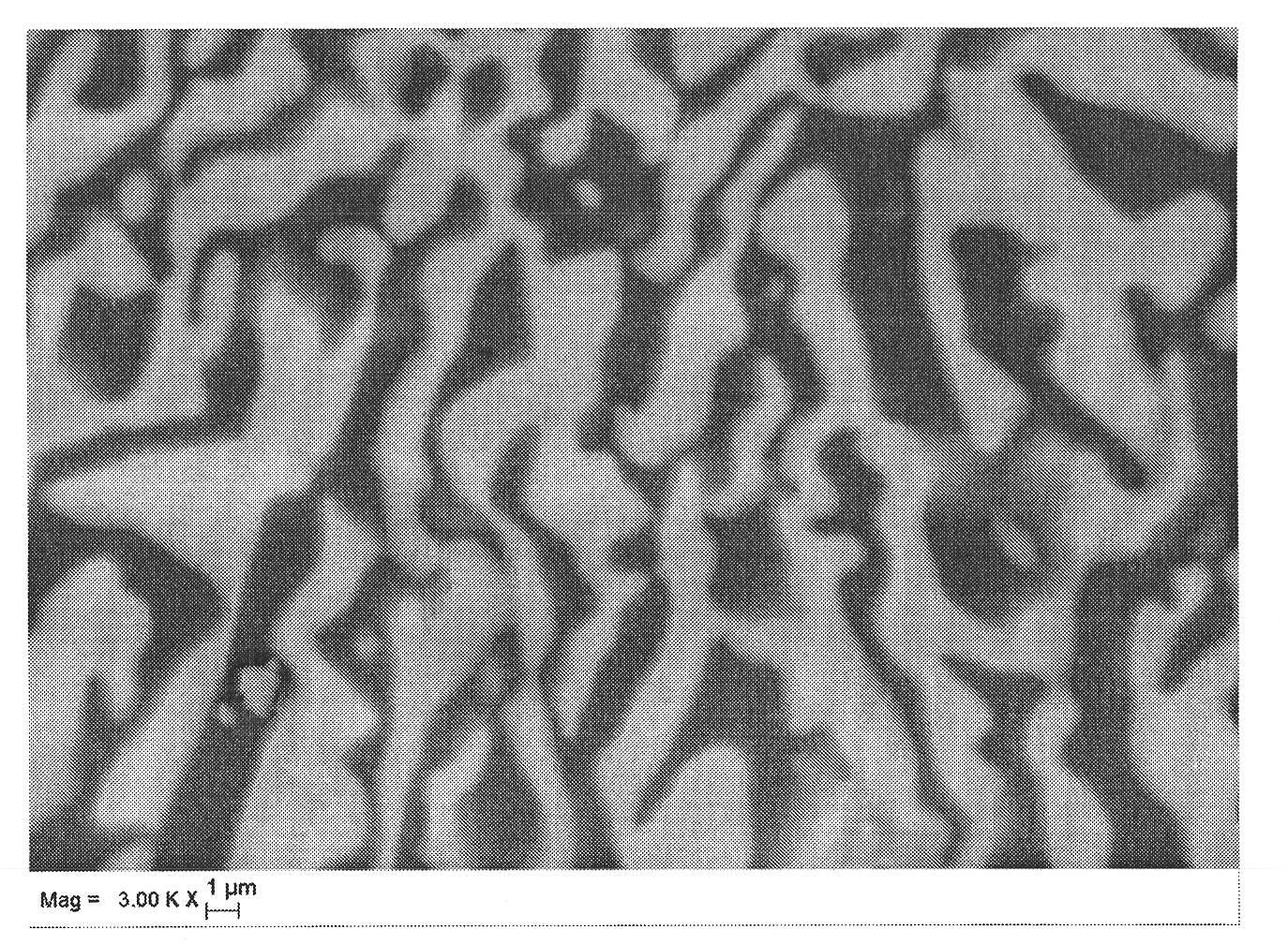 Method for obtaining texture topography of alumina-based binary eutectic melt growth ceramic