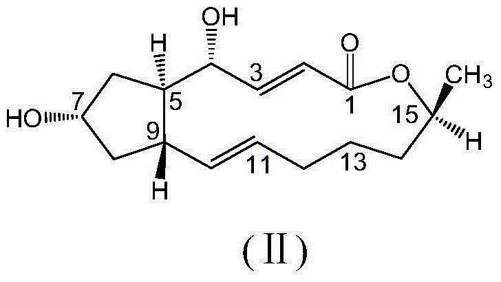 Brefeldin A ester derivatives, and preparation and application thereof