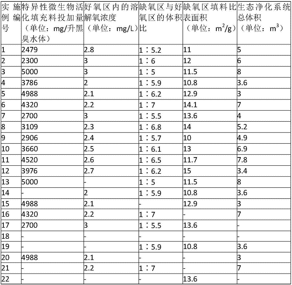 Ecological purification system and method for treating black and odorous water body