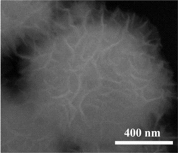 Method for preparing NiO-In2O3 nano composite material