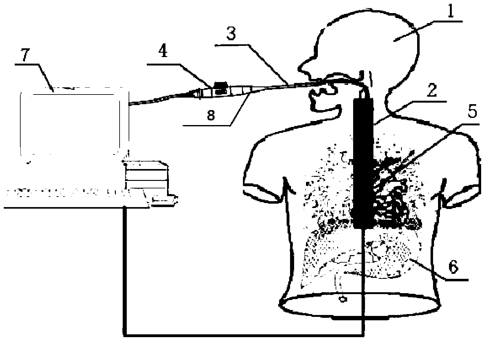 Transesophageal ultrasonic visual simulation system and method used for teaching and clinical skill training