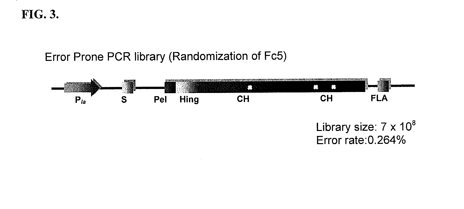 Immunoglobulin fc polypeptides